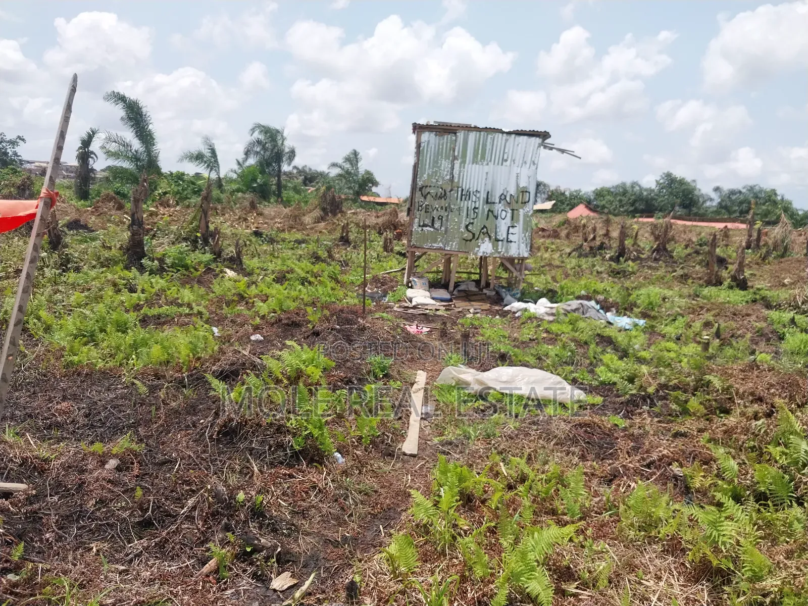 Over 25 Acres of Farmland by Mologede Jnt. Odeda Ogun State in Odeda