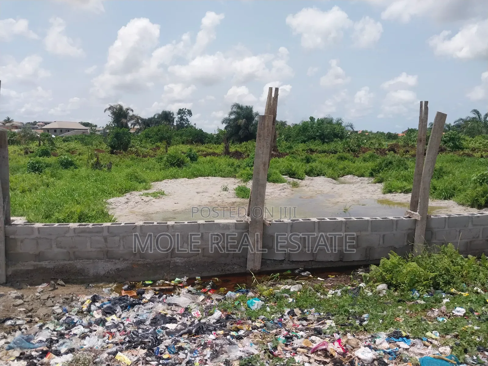 Over 25 Acres of Farmland by Mologede Jnt. Odeda Ogun State in Odeda