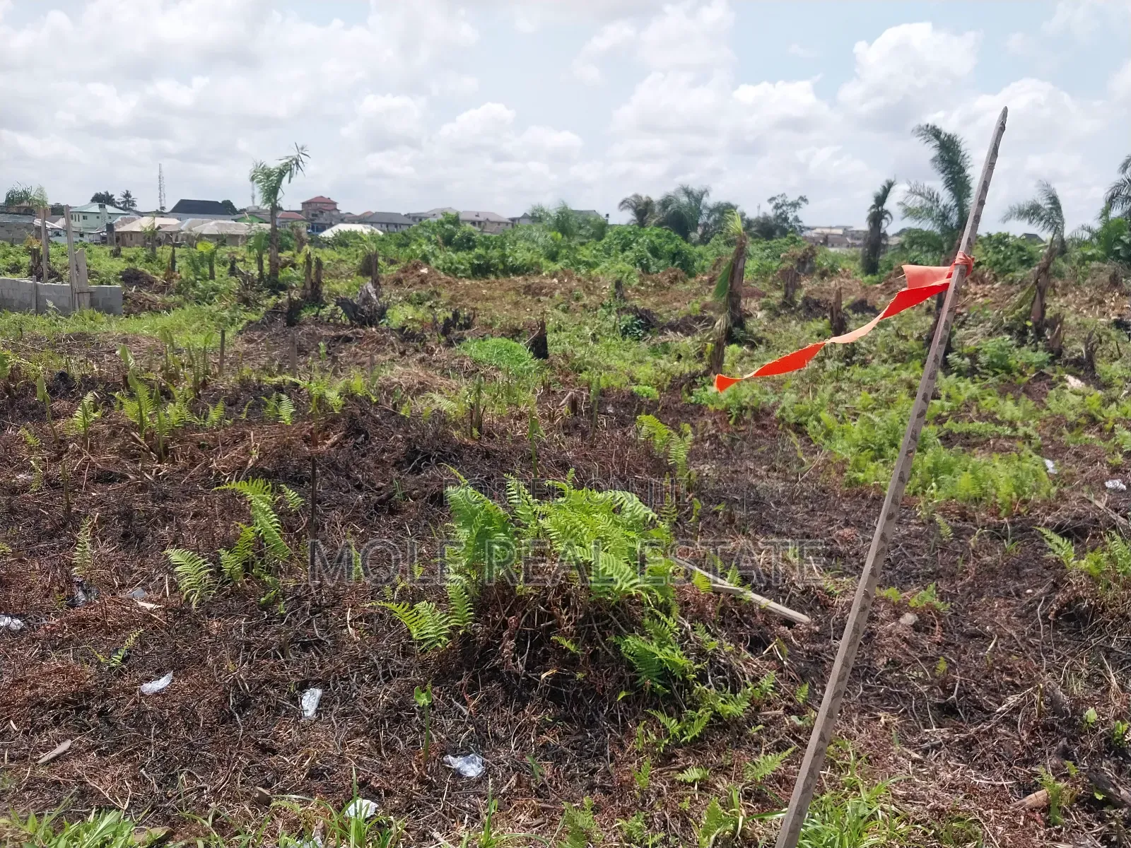 Masive Hecters Farmland Obafemi Owode Ogun State in Obafemi-Owode