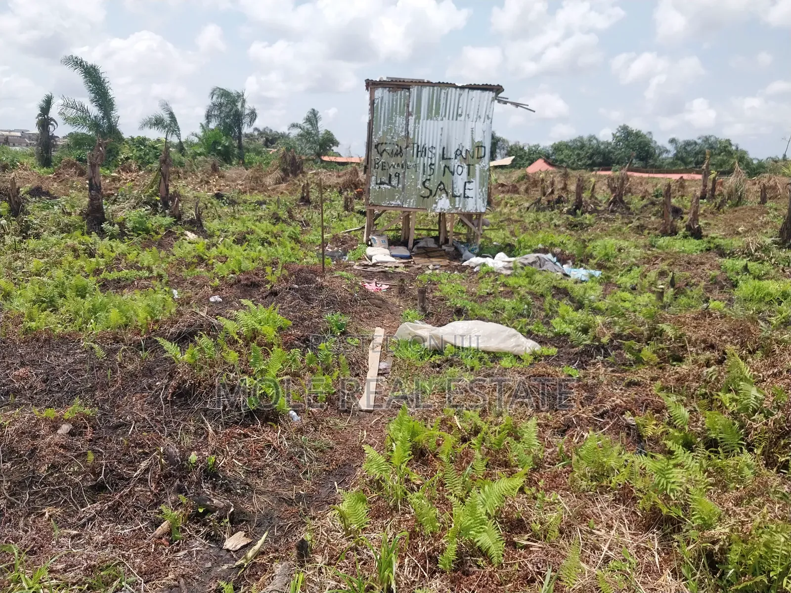 Masive Hecters Farmland Obafemi Owode Ogun State in Obafemi-Owode