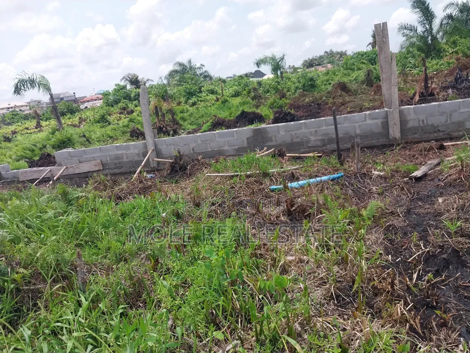 100 Acres of Farmland Someke Mowe Ofada Owode Ogun State in Obafemi-Owode