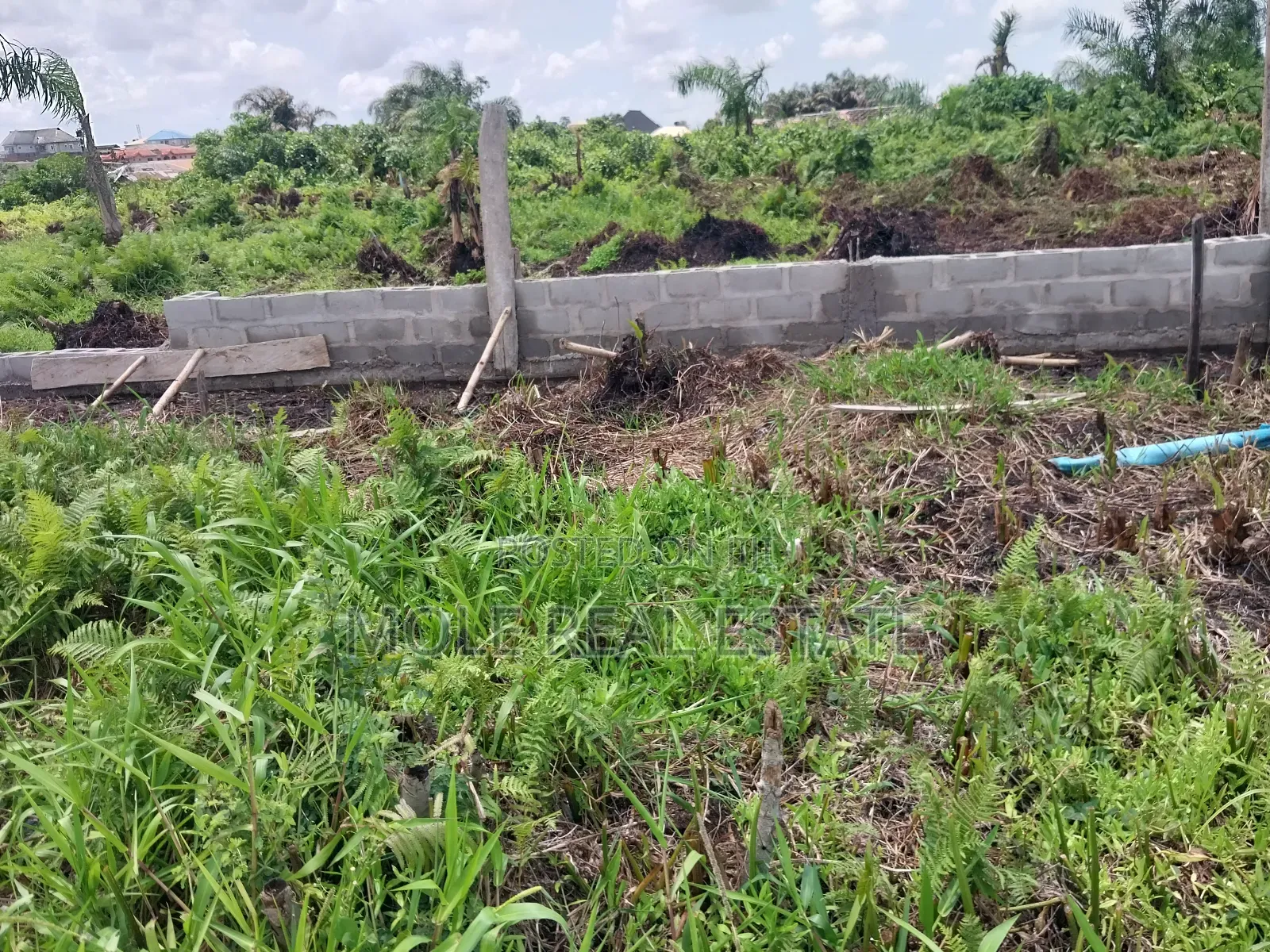 100 Acres of Farmland Someke Mowe Ofada Owode Ogun State in Obafemi-Owode