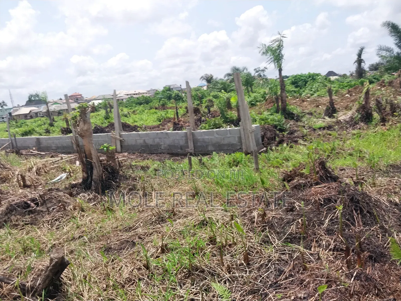 Over 300 Acres of Farmland Someke Ofada Near Lagos in Obafemi-Owode
