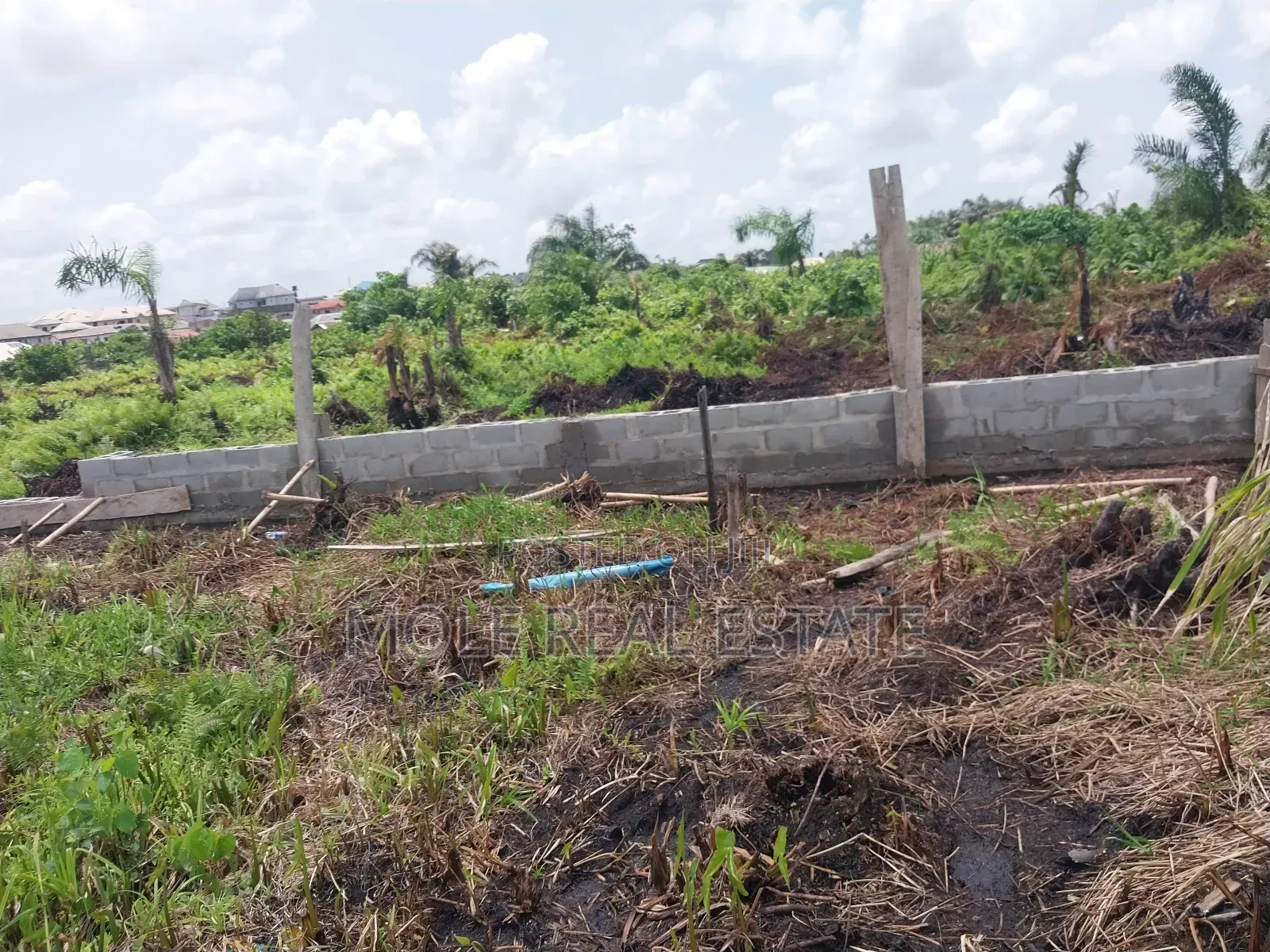 Over 300 Acres of Farmland Someke Ofada Near Lagos in Obafemi-Owode