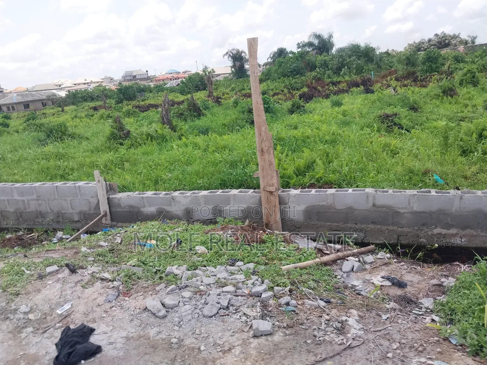 Over 300 Acres of Farmland Someke Ofada Near Lagos in Obafemi-Owode
