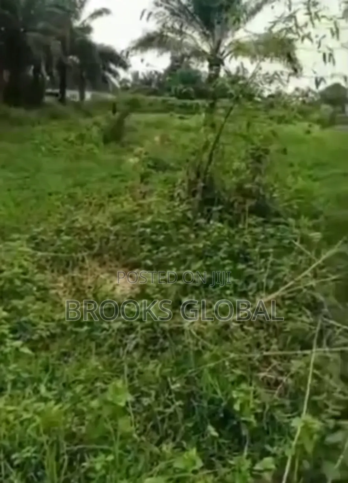 A Flat Land of 100/200 at Ovbiogie Benin for Sale in Benin City