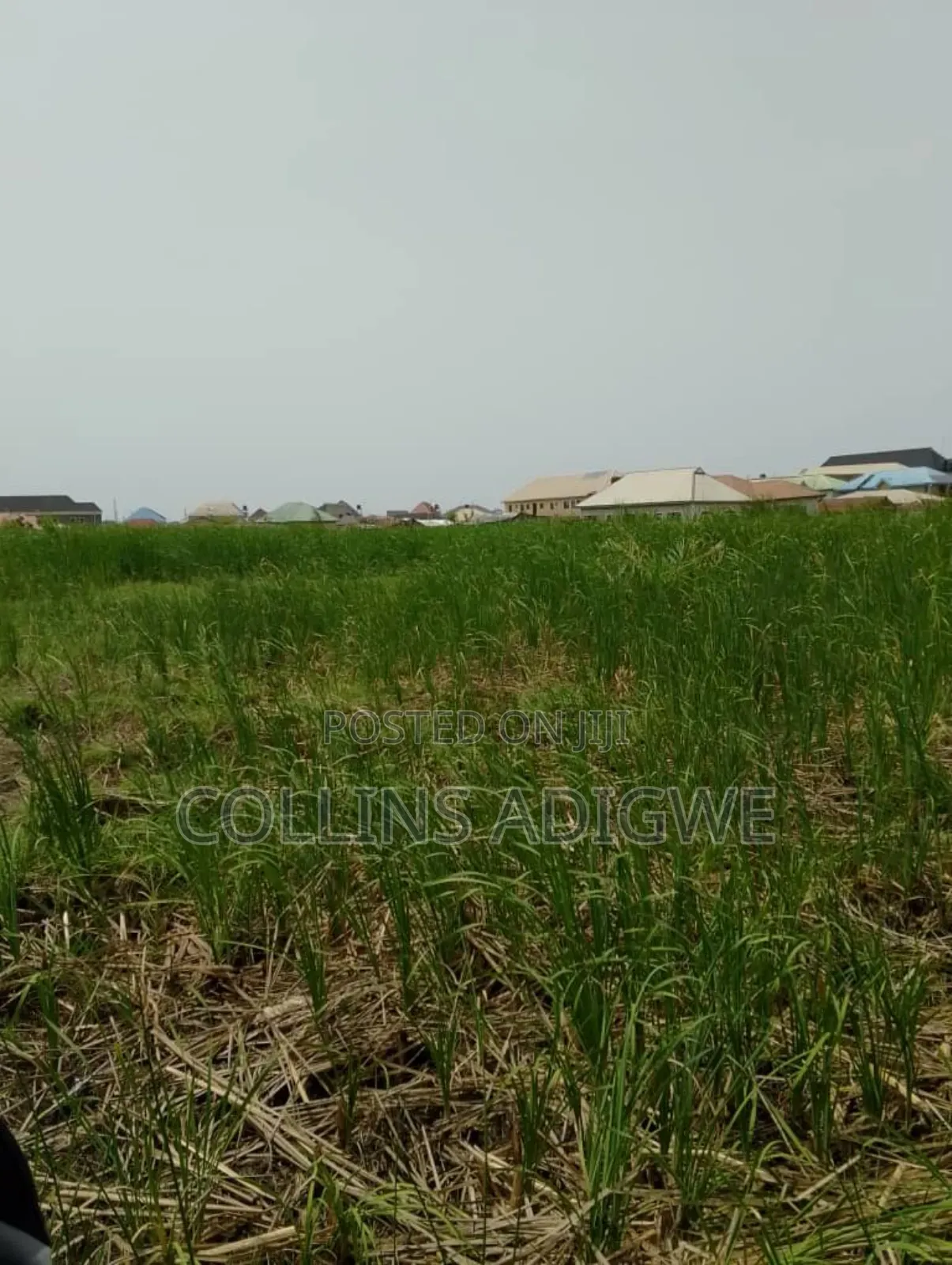 2 Plots for Sale Sangotedo in Sangotedo