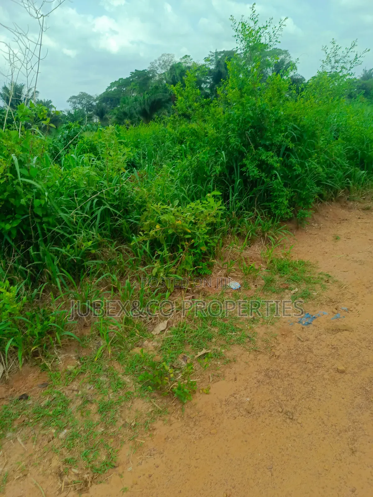 Farm Land at Odeda Abeokuta in Odeda