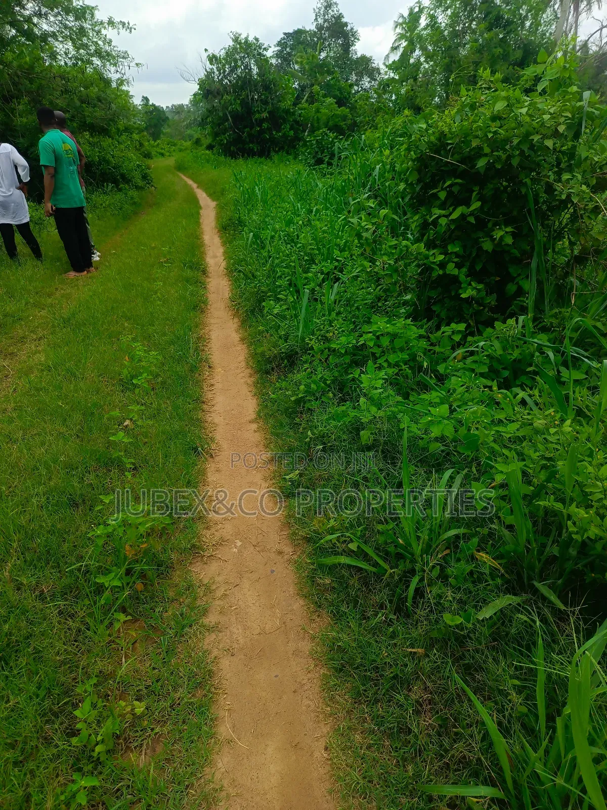 Farm Land at Odeda Abeokuta in Odeda
