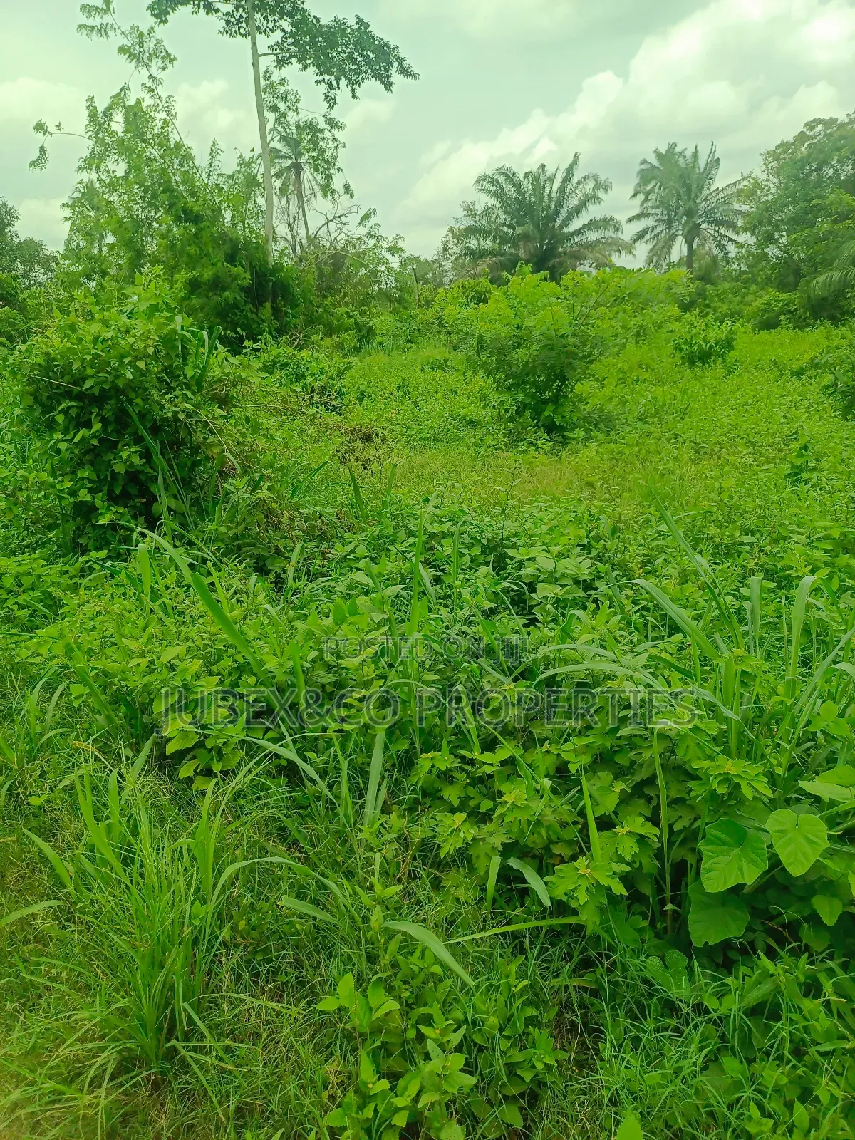 Acres of Land at Odeda in Odeda