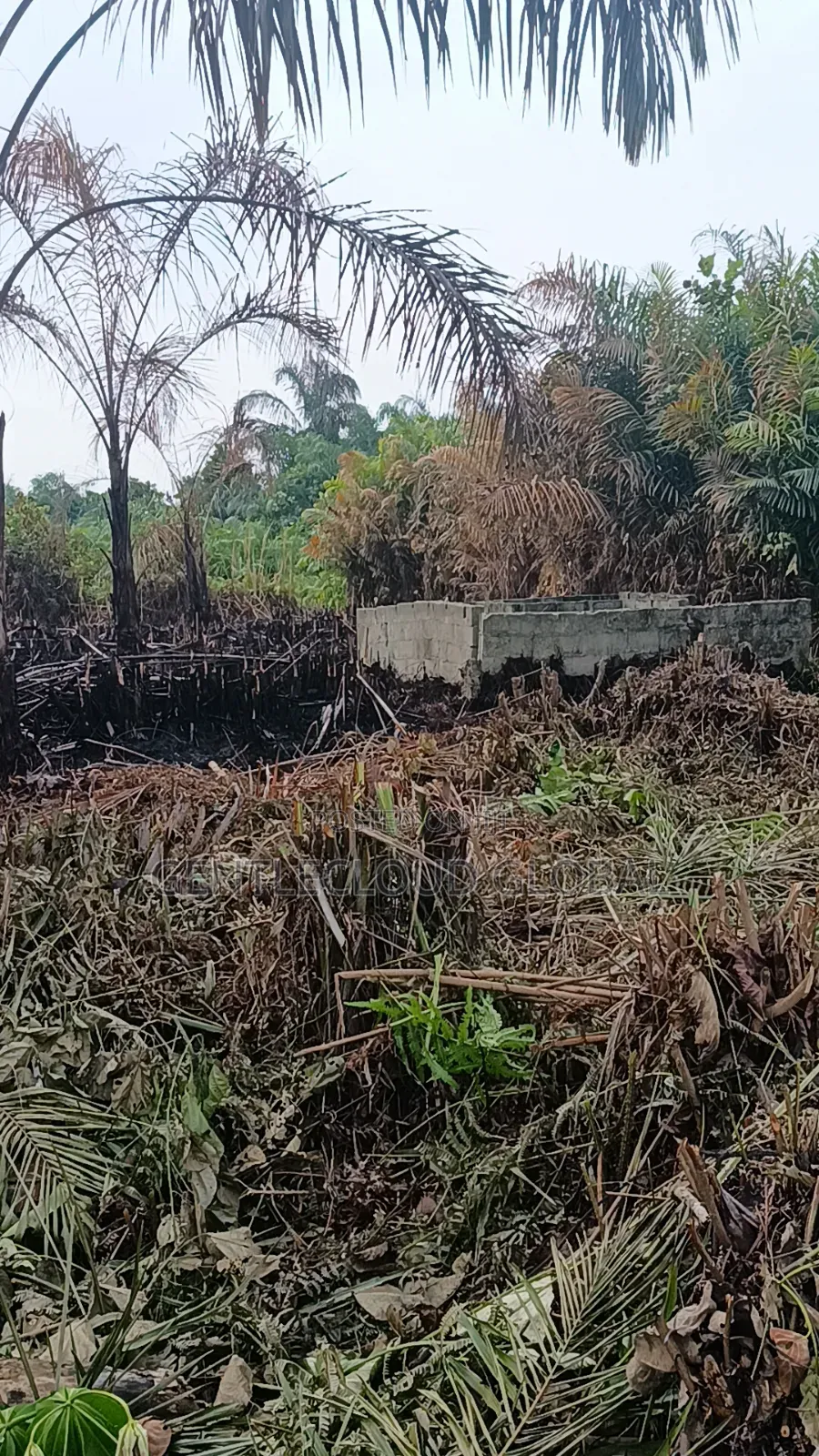 Land for Sale in Ojo
