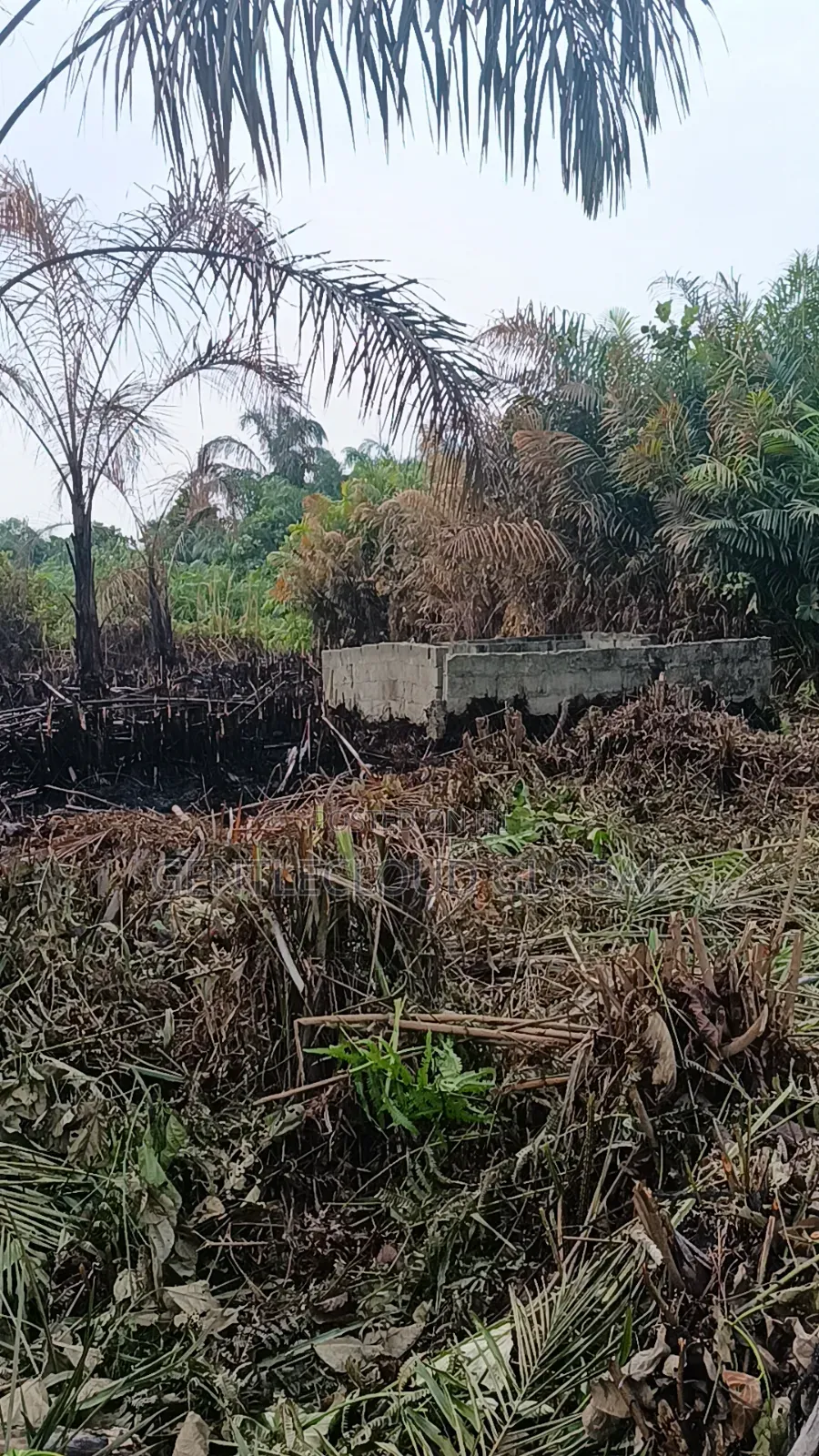 Land for Sale in Ojo