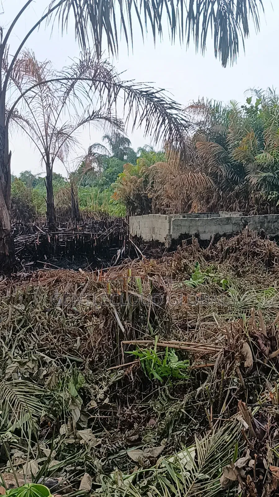 Land for Sale in Ojo