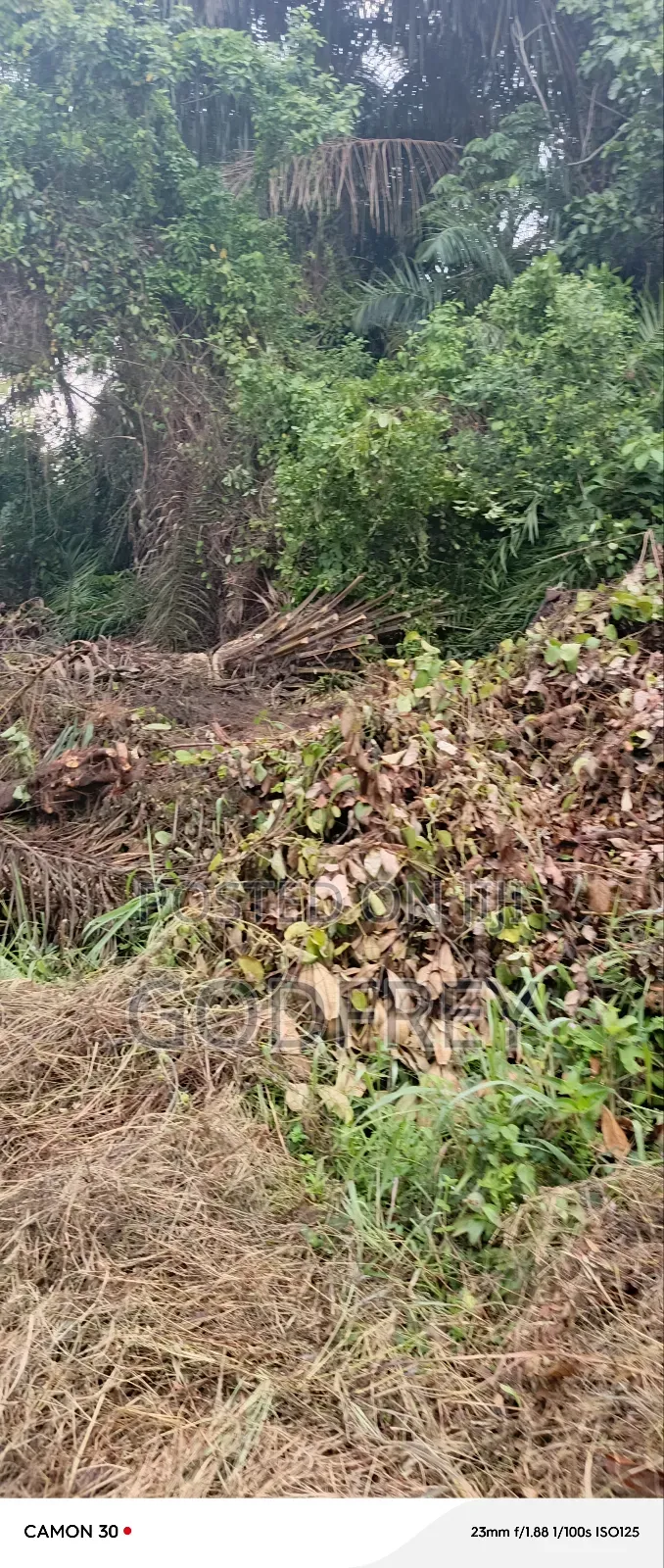 Landed Commercial Property in Sangotedo