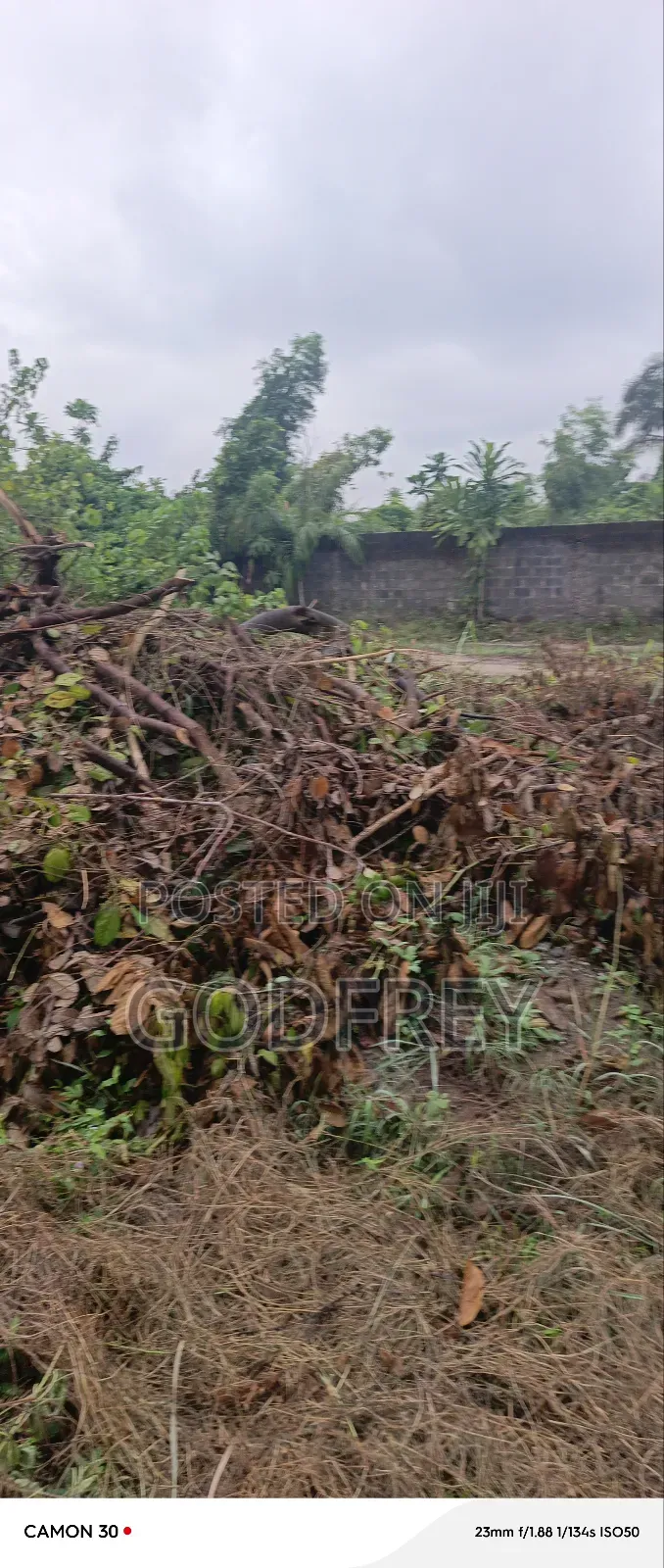 Landed Commercial Property in Sangotedo