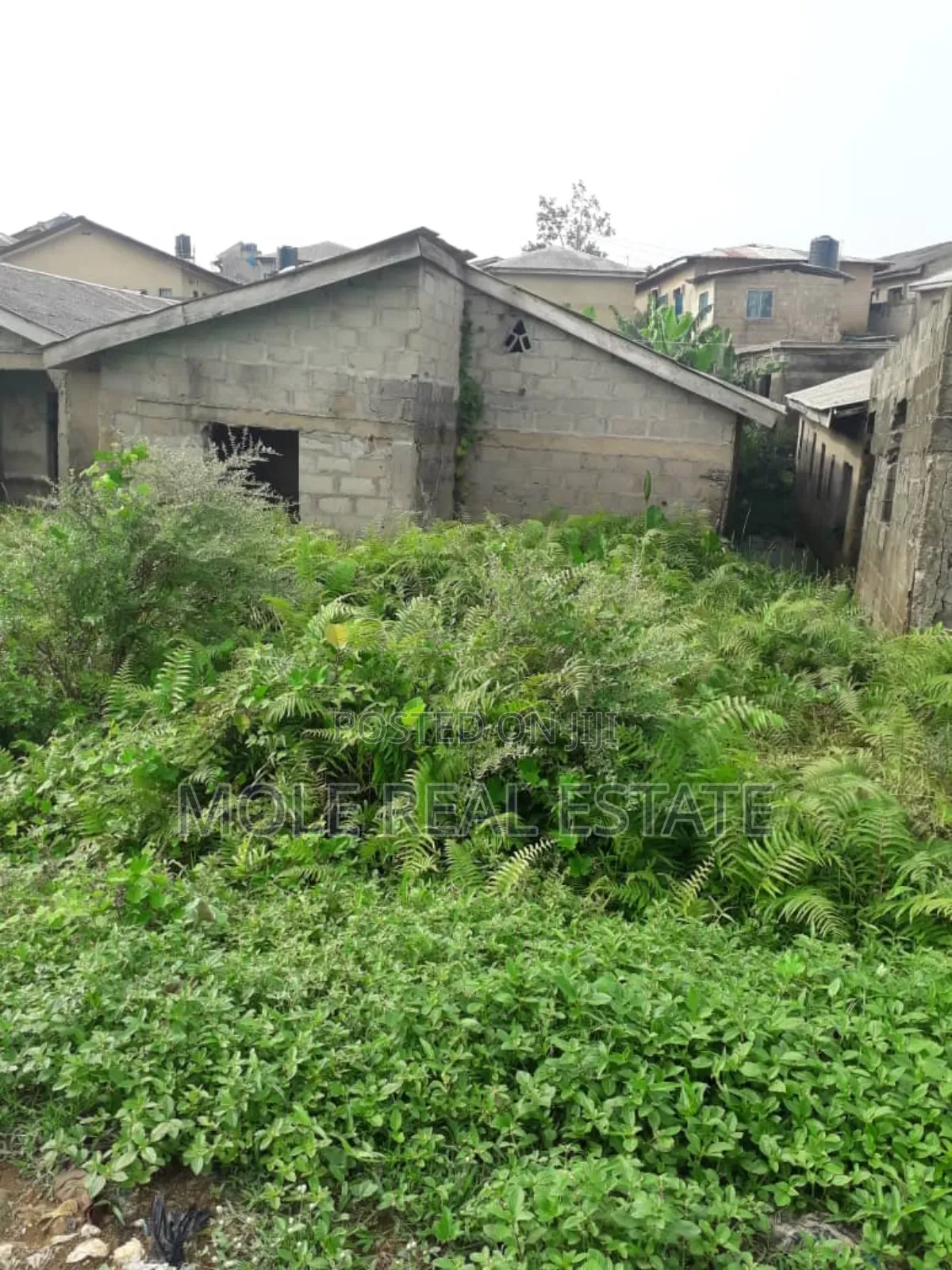 5000 Acres of Farmland Imobi Ijabu East Ogun State in Ijebu