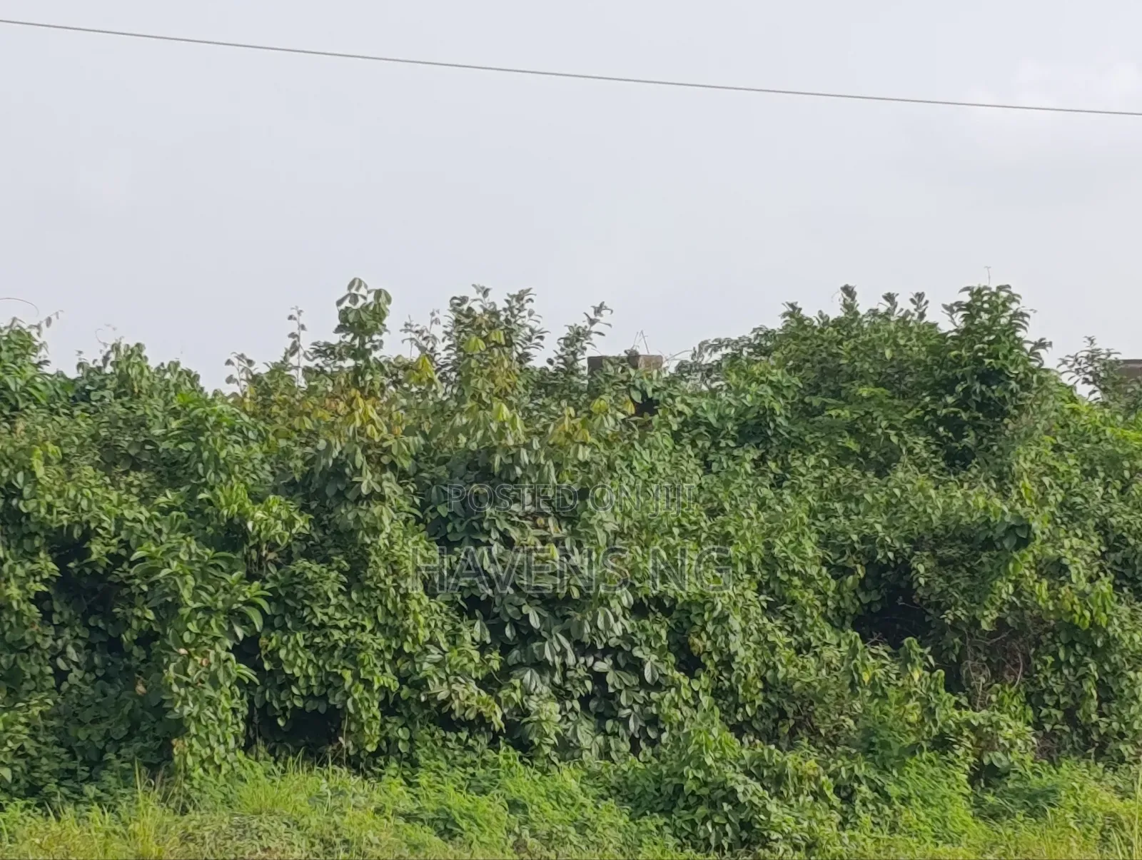2 Plot of Land Akobo Olorunda Abaa Ibadan in Akobo