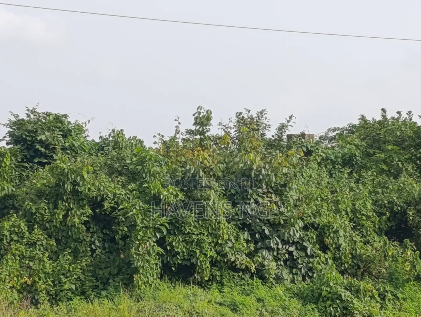 2 Plot of Land Akobo Olorunda Abaa Ibadan in Akobo