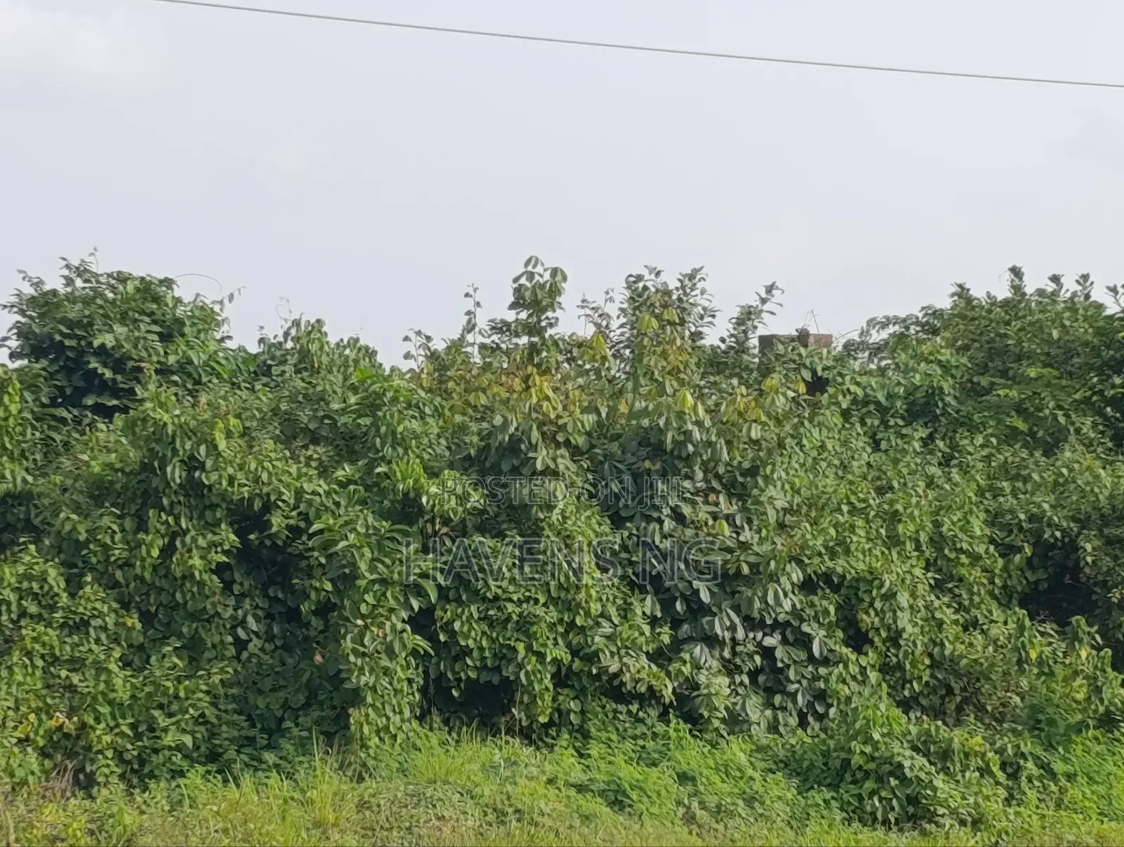 2 Plot of Land Akobo Olorunda Abaa Ibadan in Akobo
