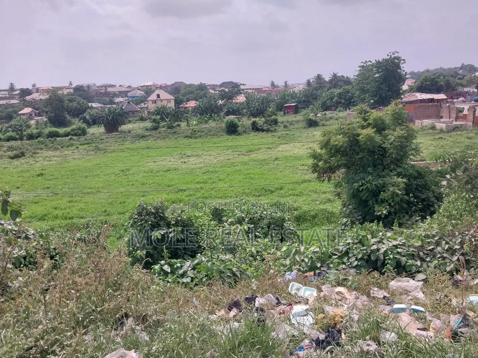 120 Acres of Land Facinglagos Ibadan Expressway Fenced Gated in Obafemi-Owode