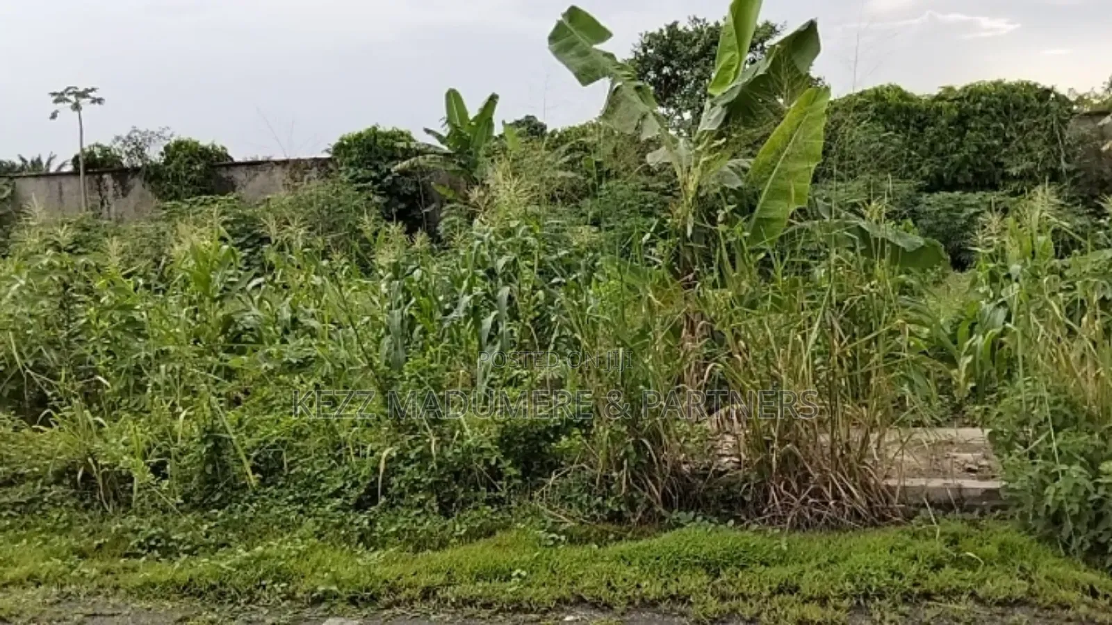 For Sale: 15 Plots on East West Rd Rumuokoro Okoro Eliozu,Ph in Eliozu