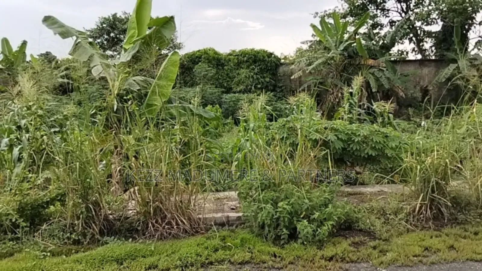 For Sale: 180 Cofo Plots Inside NNPC Quarters Akpajo, Ph in East West Road
