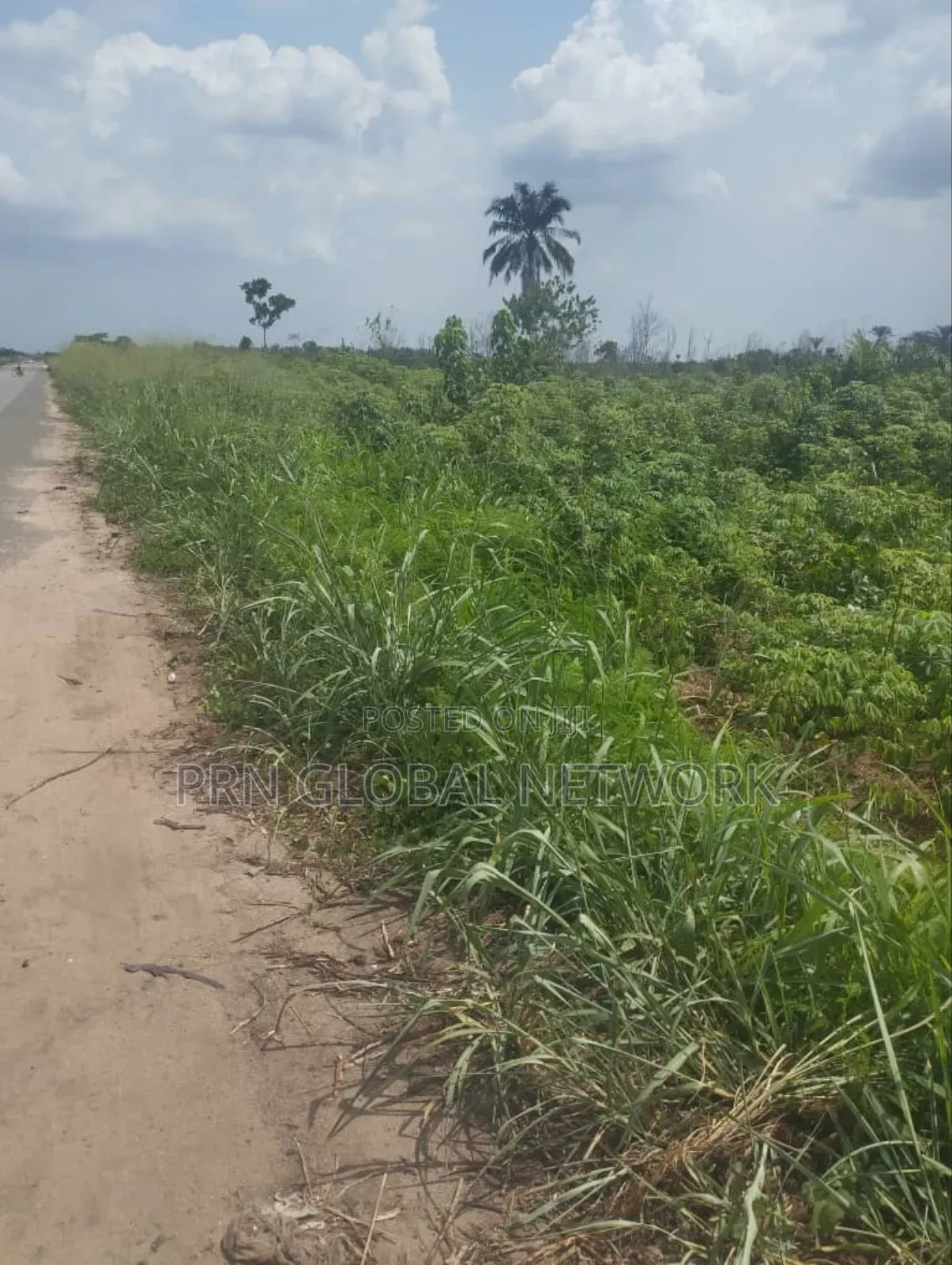 15 Plots Of Lands Close To Zion Ground in Ngor-Okpala