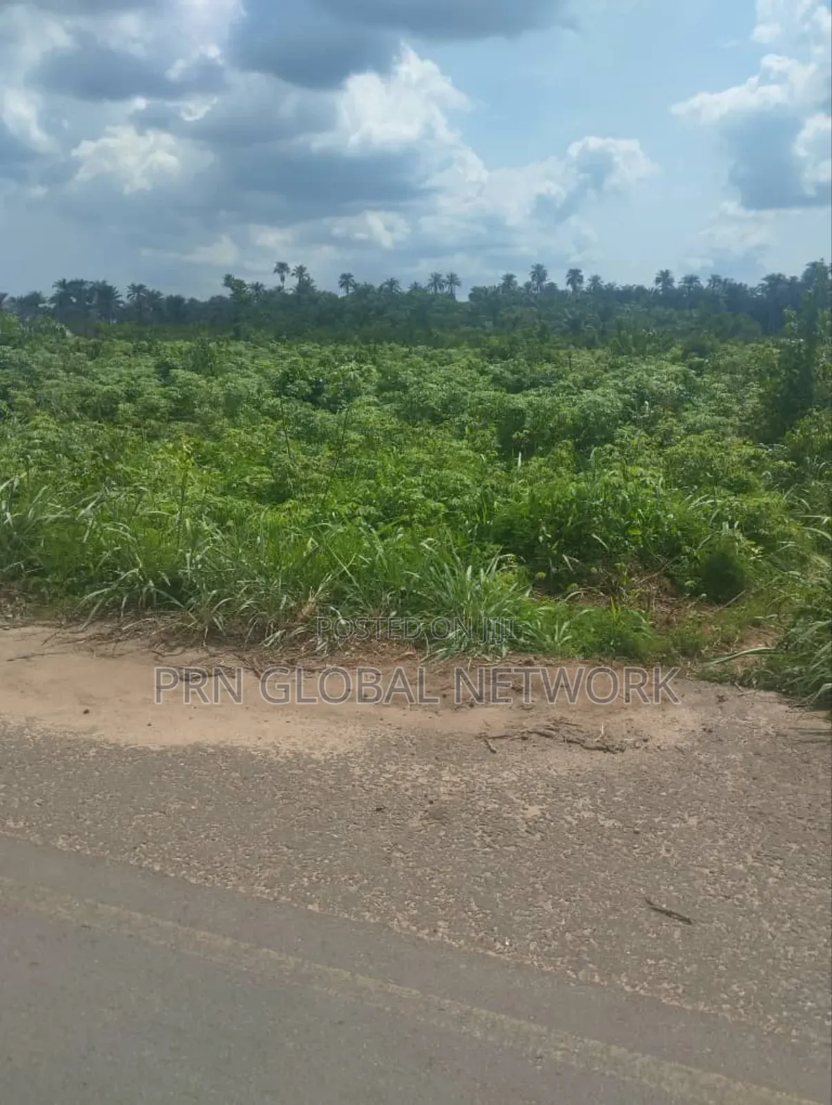 15 Plots Of Lands Close To Zion Ground in Ngor-Okpala