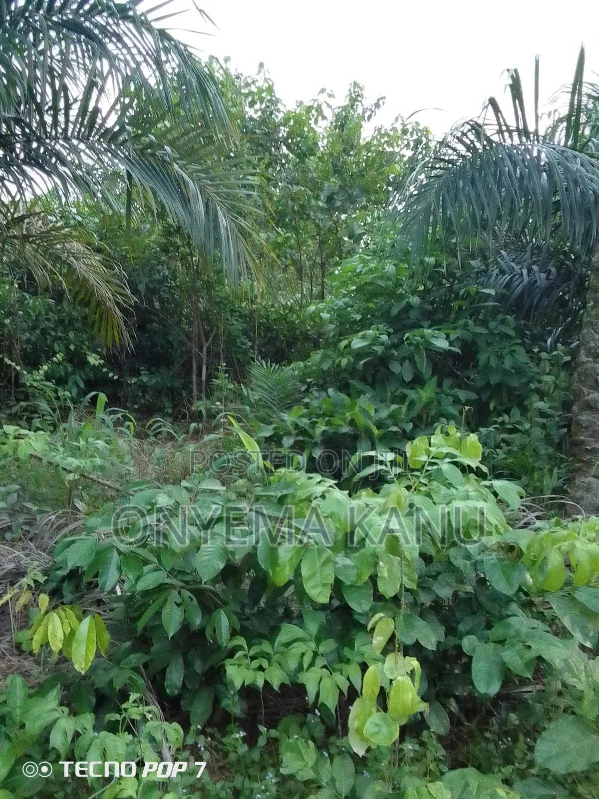 2 Plots Rural Land for Sale. in Ukwa