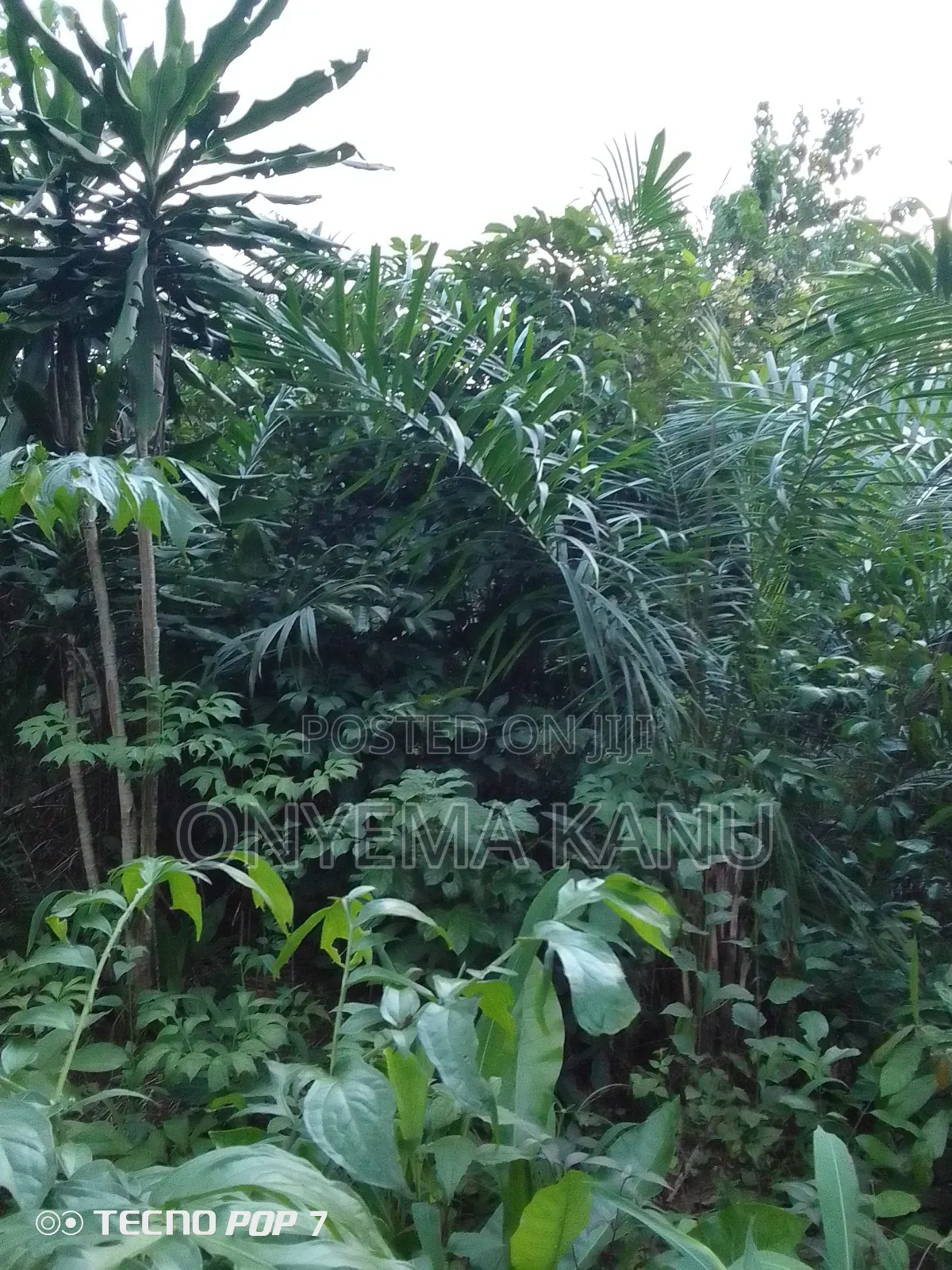 2 Plots Rural Land for Sale. in Ukwa