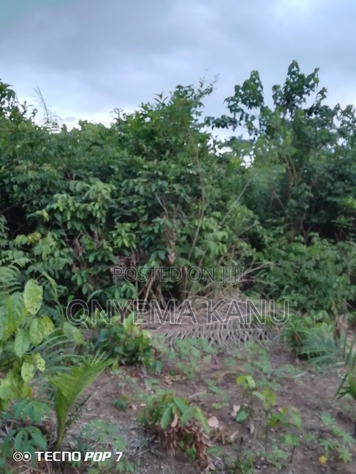 2 Plots Rural Land for Sale. in Ukwa
