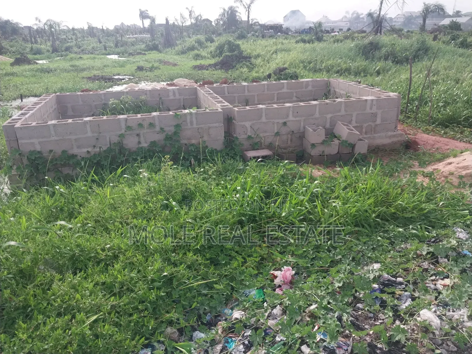 Fish Farm in 3 Plots Prime Location Abule Egba in Abule Egba