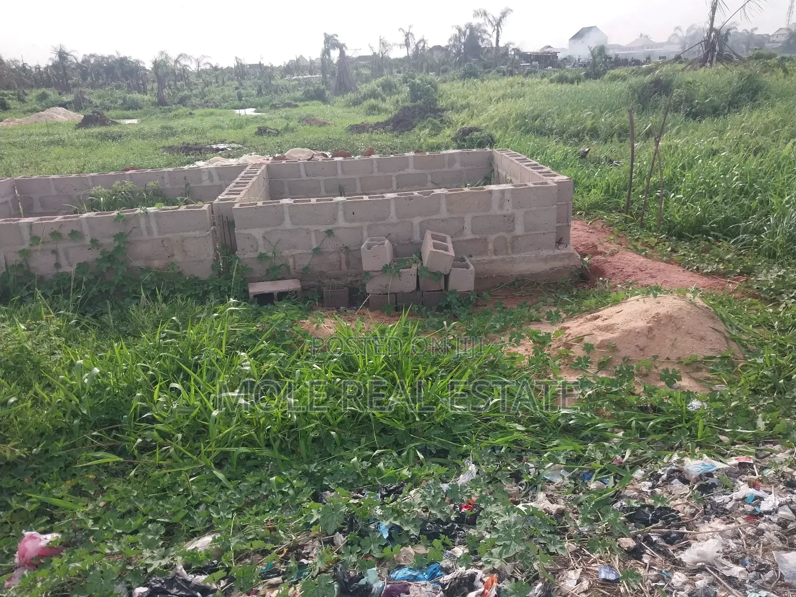 Fish Farm in 3 Plots Prime Location Abule Egba in Abule Egba