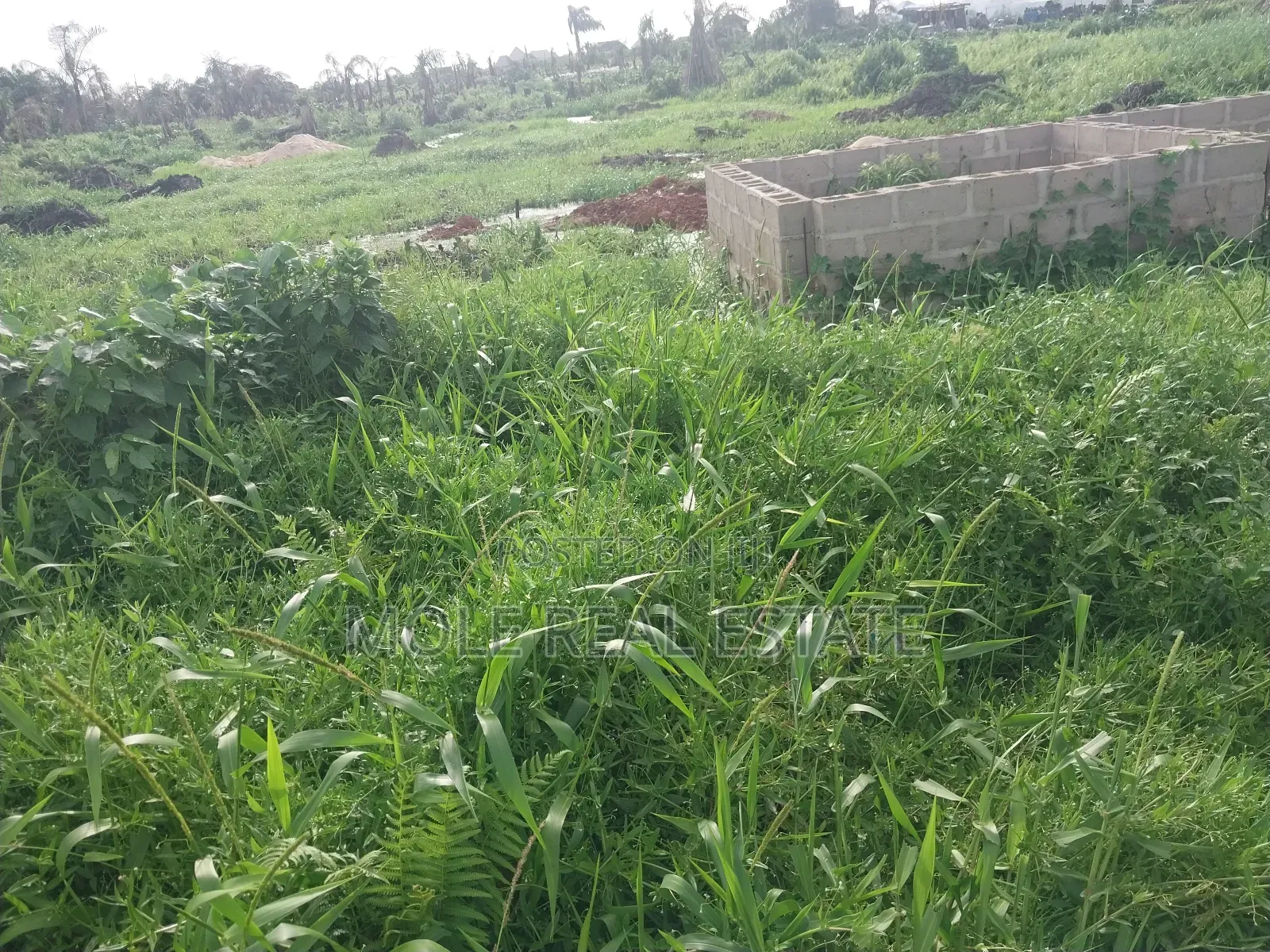 A Plot of Land Egbeda Akowonjo Near Bustop 4 Sale in Akowonjo