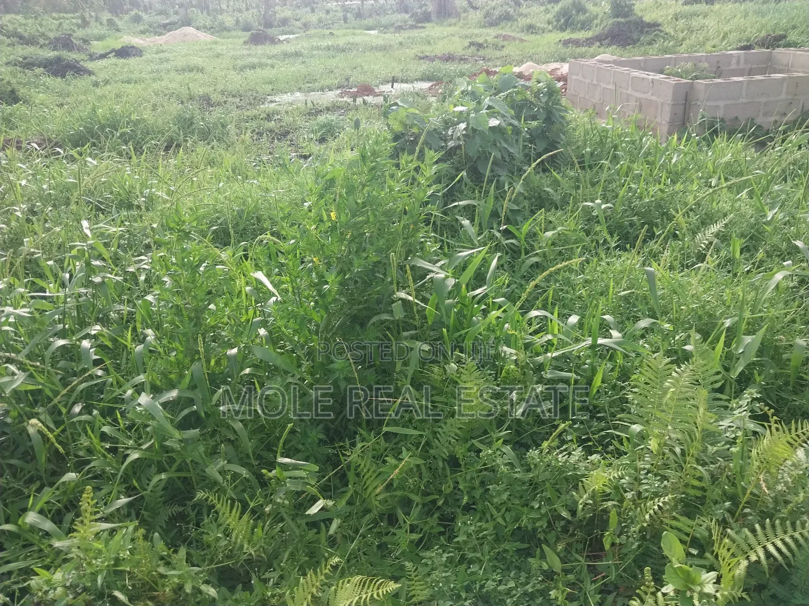 A Plot of Land Egbeda Akowonjo Near Bustop 4 Sale in Akowonjo