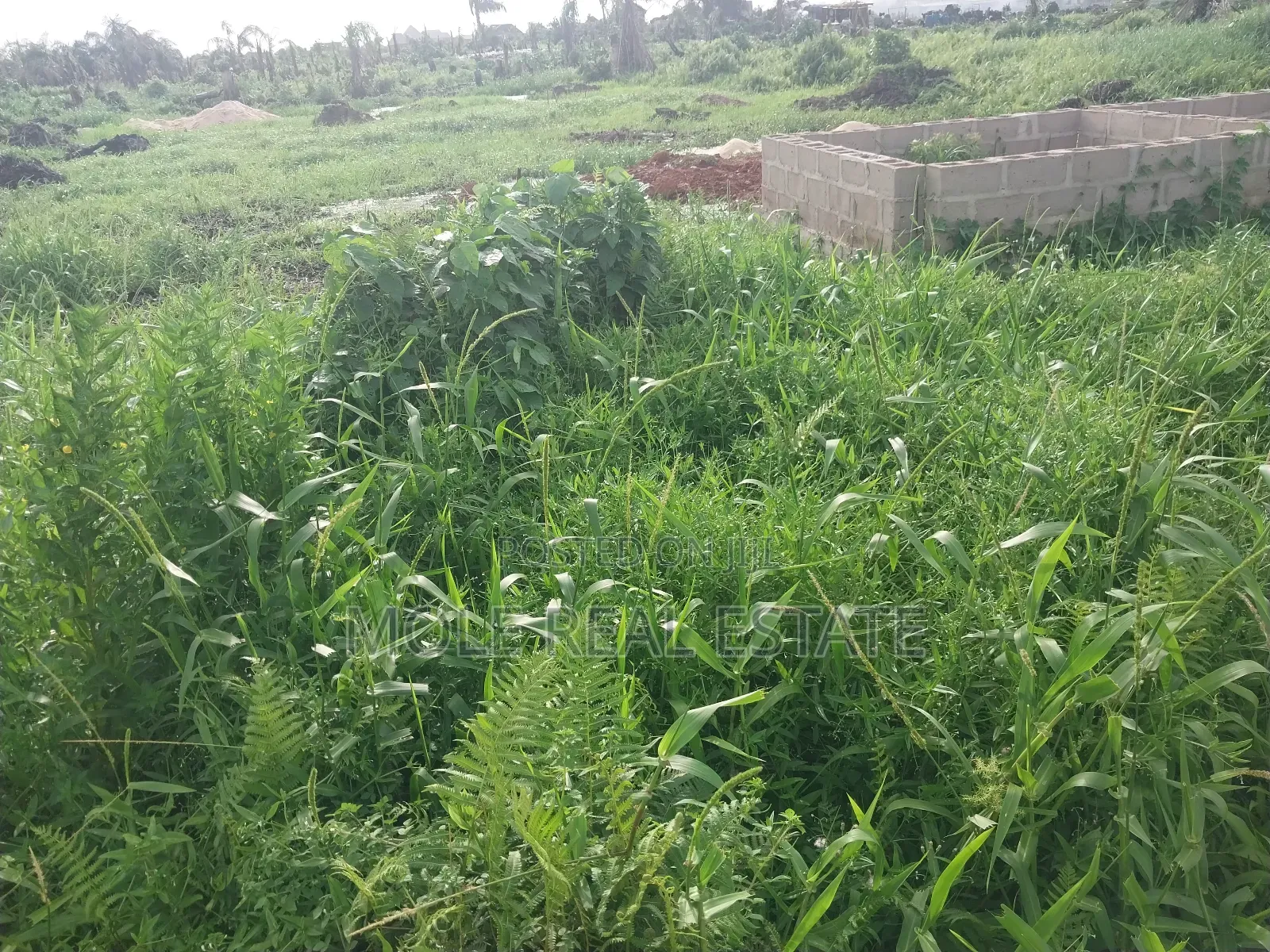 A Plot of Land Egbeda Akowonjo Near Bustop 4 Sale in Akowonjo