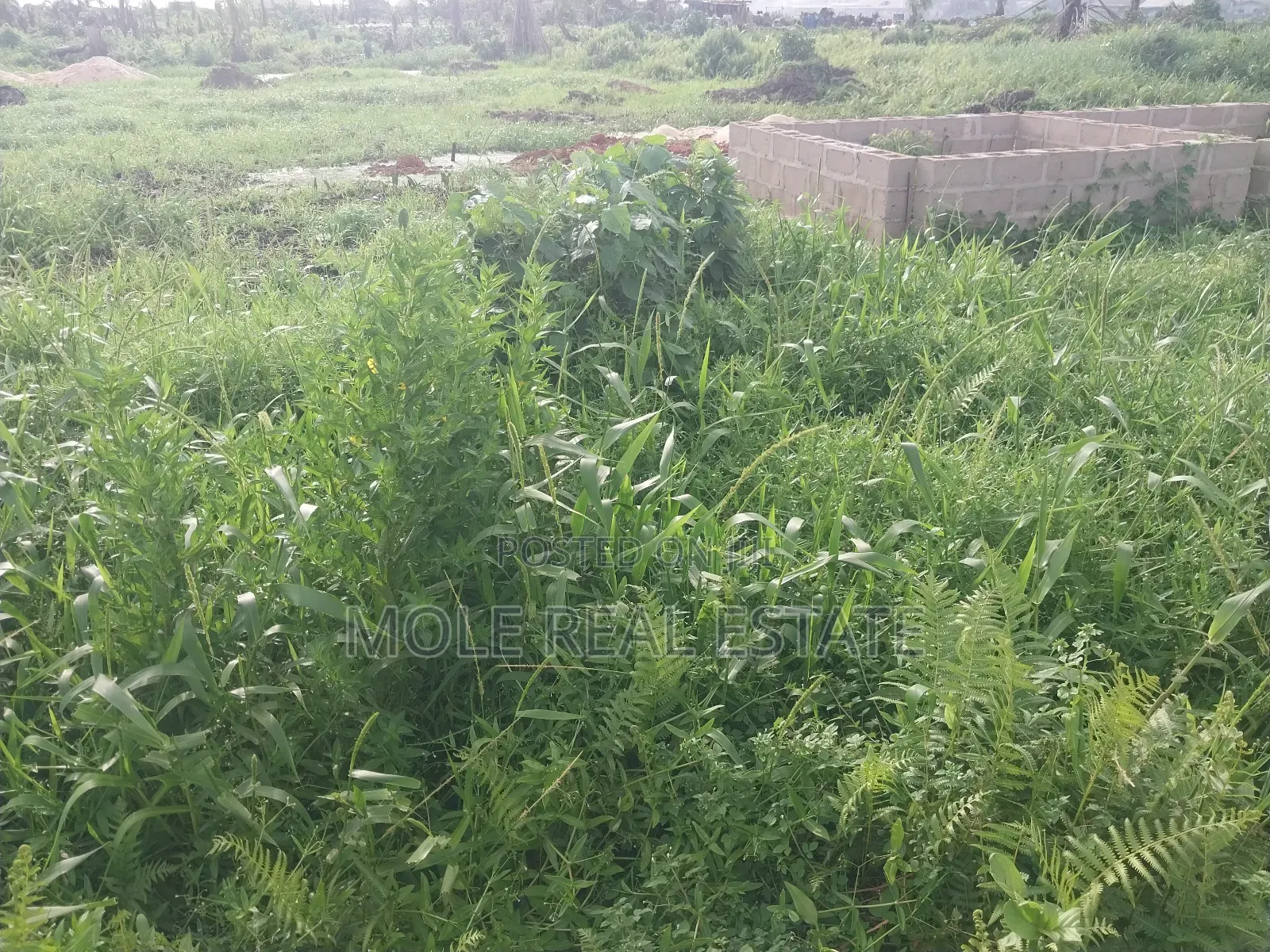 40ft by 60ft Plot Moshalashi Rd Egan Fenced Iguando in Egan