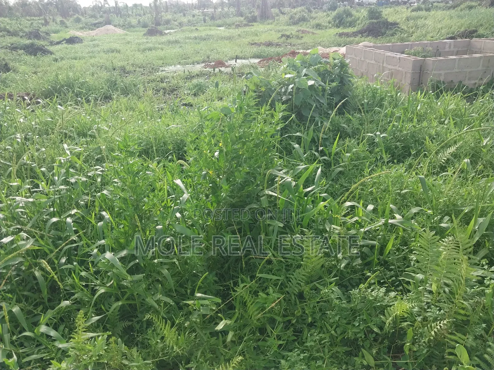 40ft by 60ft Plot Moshalashi Rd Egan Fenced Iguando in Egan