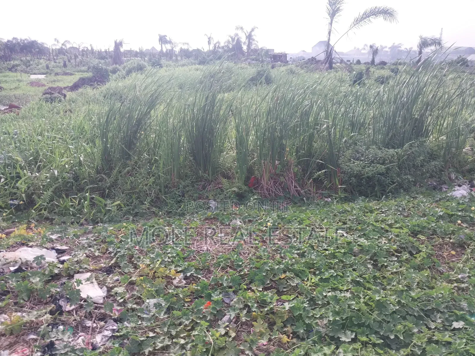 5100sqm Waterfront Queens Drive Ikoyi in Ikoyi