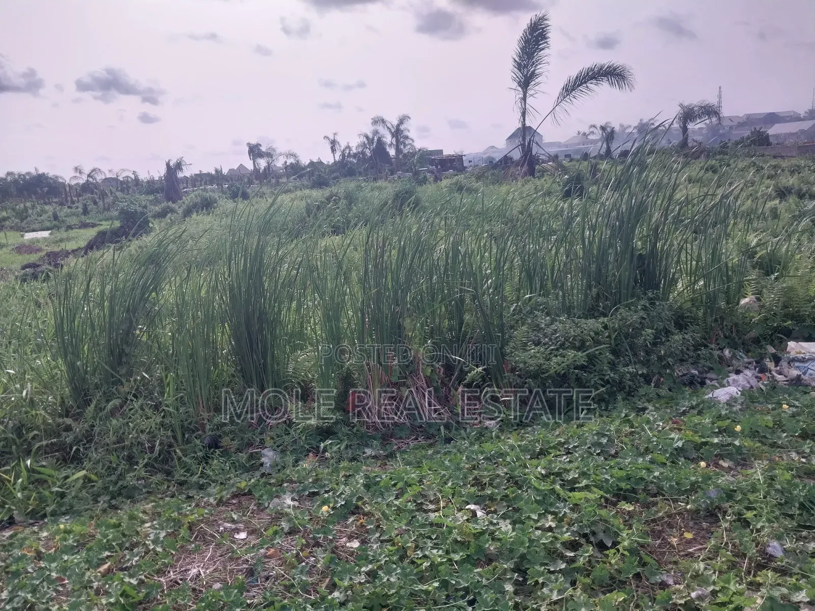 5100sqm Waterfront Queens Drive Ikoyi in Ikoyi