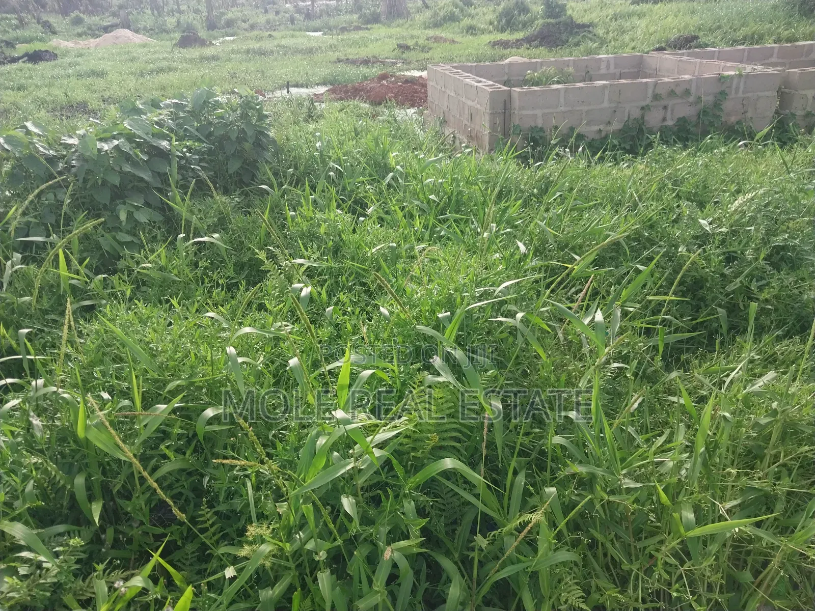 5414sqm Clover Road Ikoyi With 15 Storey Tower Foundations in Ikoyi