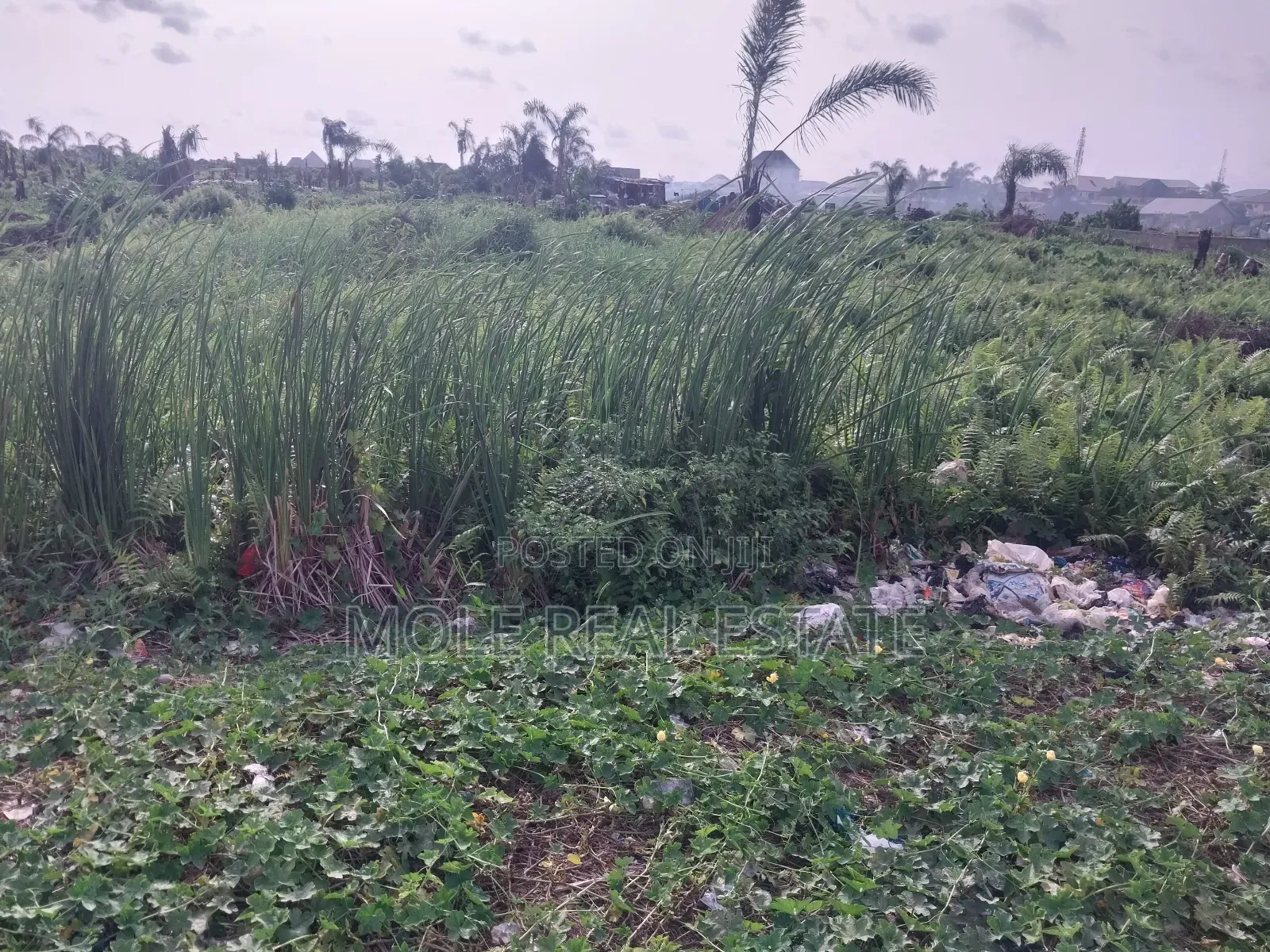 4 200sqm Old Ikoyi Backing Ikoyi Golf Curse Off Kingsway in Ikoyi