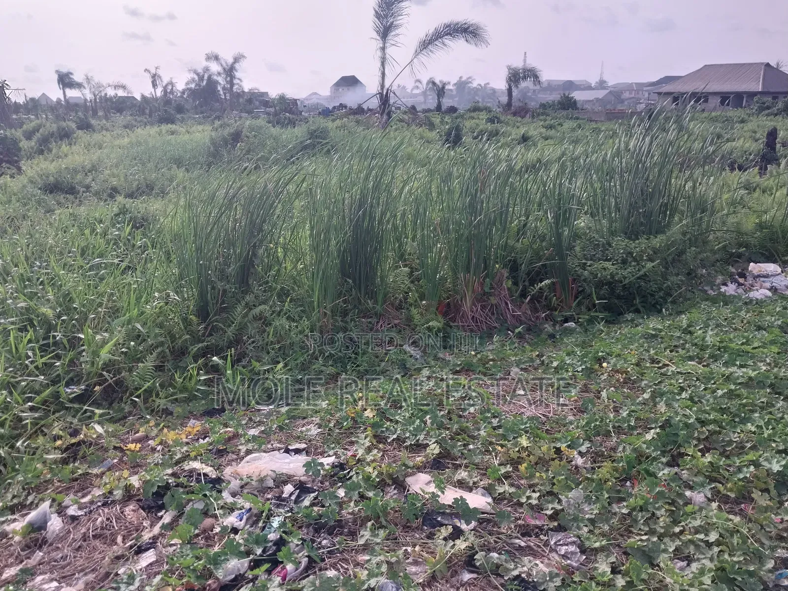 1200sqm Plot by Bankole Oki Street Ikoyi Lagos in Ikoyi