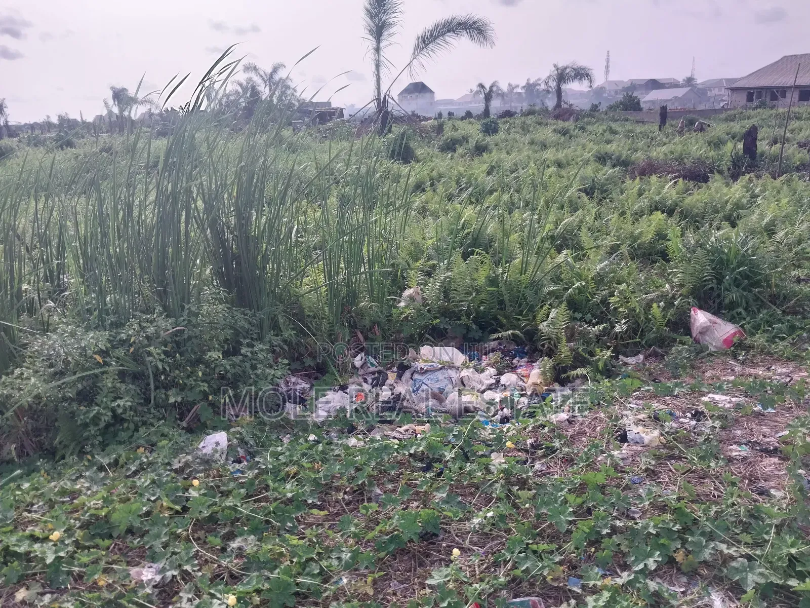 1500sqm Plot Osborn Pase 1 Ikoyi Lagos in Ikoyi