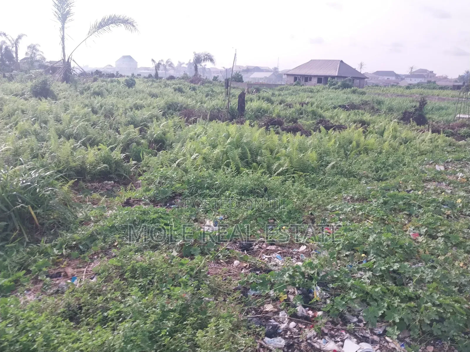 800 SQM Well Located Cornerpiece Osborn Phase 1 Ikoyi Lagos in Ikoyi