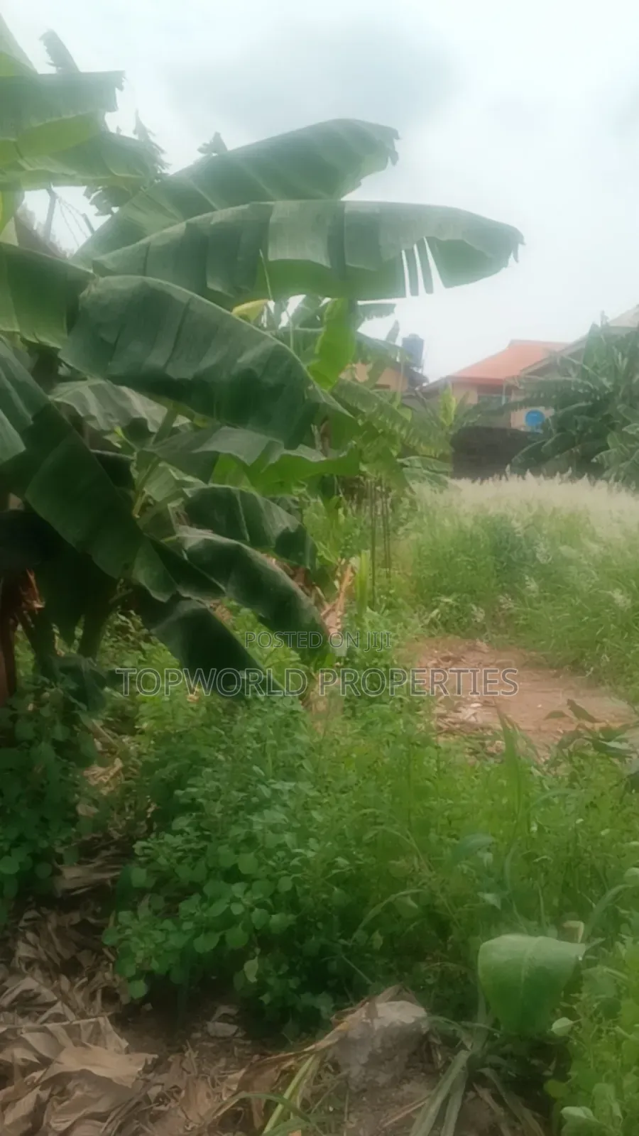 Half Plot of Land in an Estate Within New Oko Oba in New Oko Oba
