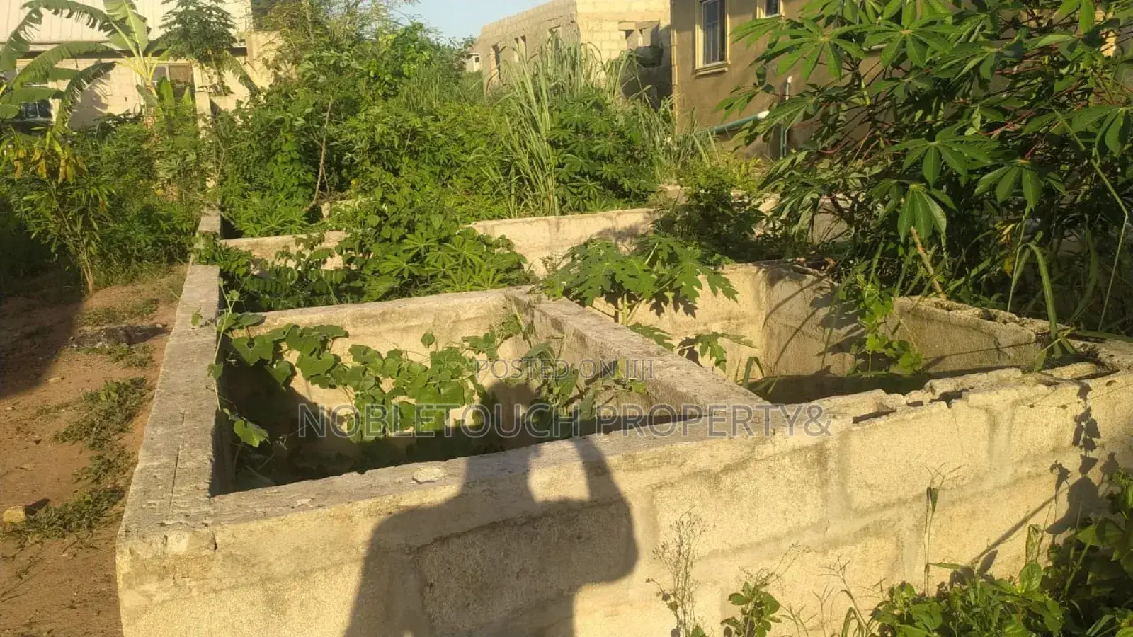 1bdrm Bungalow in Alewele Aleke, Adamo for sale in Adamo