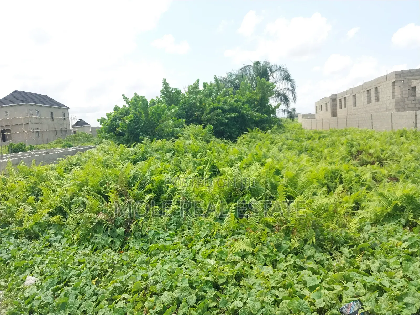 2, 194sqm Plot Adeola Adeku by Zenith Bank P v I in Victoria Island