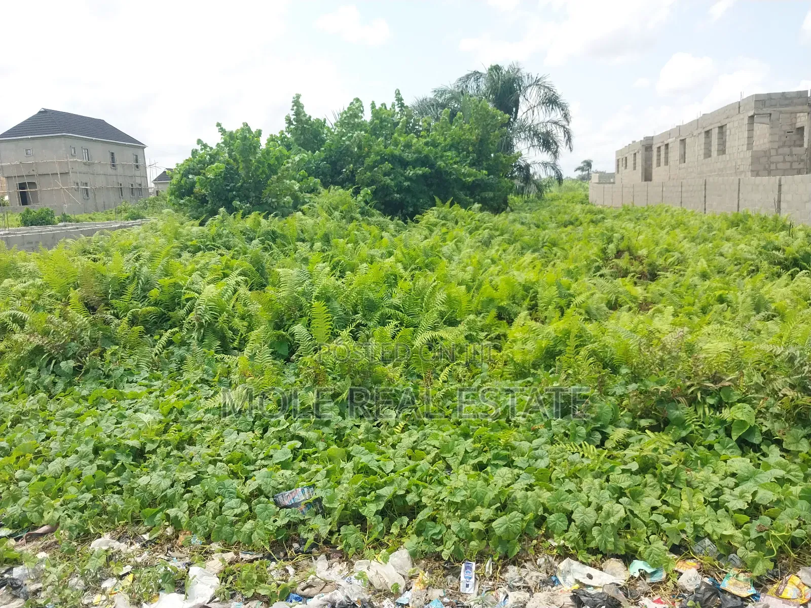 2, 194sqm Plot Adeola Adeku by Zenith Bank P v I in Victoria Island