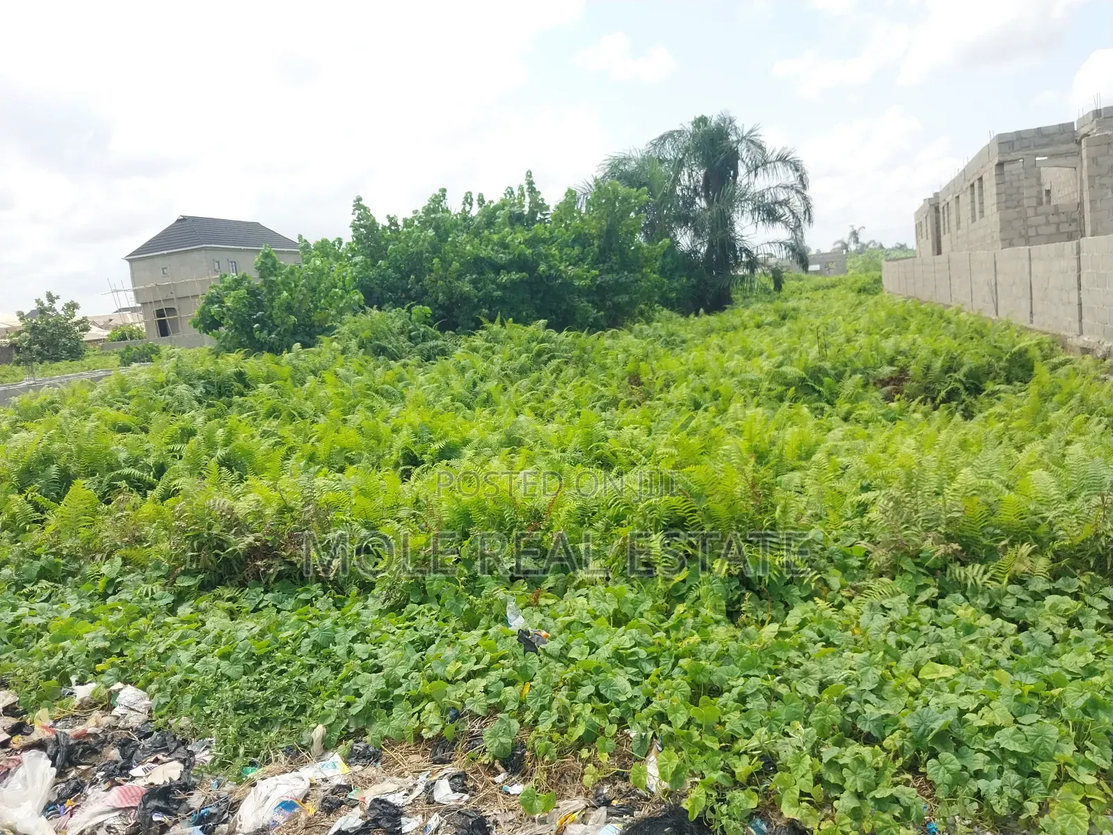 1000 SQM Adeola Adeku Opp Zenith Bank Victoria Island Lagos in Victoria Island